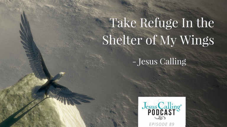 Take Refuge in the Shelter of My Wings ~ Jesus Calling