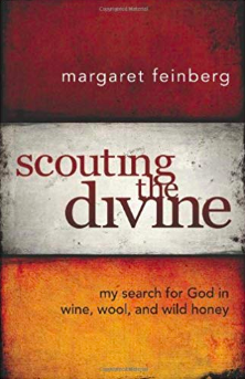 Margaret Feinberg - Scouting the Divine book