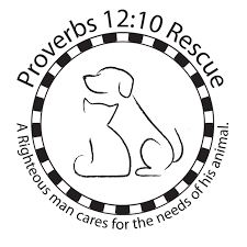 Proverbs 12:10 Animal Rescue
