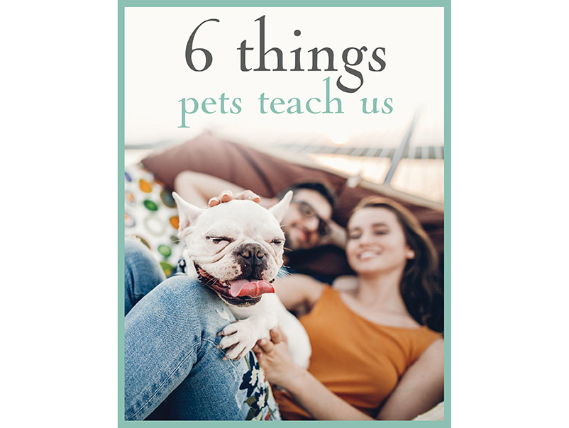 6 Things Pets Teach Us download