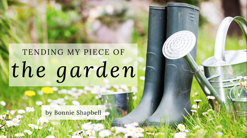 Jesus Calling blog Tending My Piece of the Garden by Bonnie Shapbell