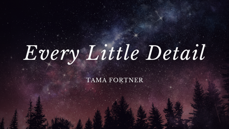 Every Little Detail by Tama Fortner