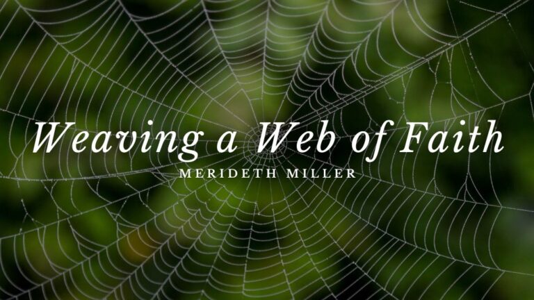 Weaving a Web of Faith by Meredith Miller