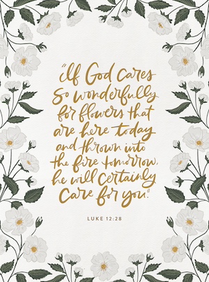 Jesus Calling podcast 462 featuring Jennifer Tucker - 07-EXCELLENT-3-Devo2-Luke12 PC Courtesy of Jennifer Tucker
