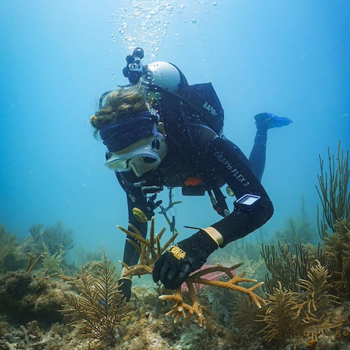 Jesus Calling podcast 467 featuring marine biologist Rachel G Jordan - Scuba diving by PC Karli Hollister_Rachel Jordan