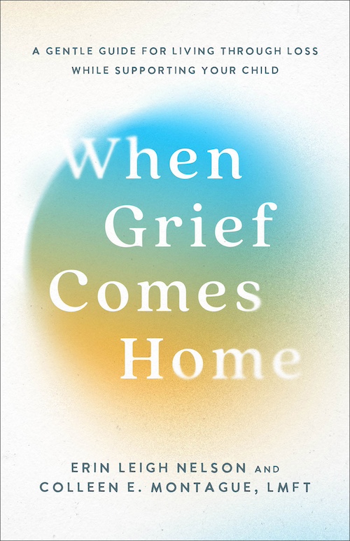 Jesus Calling podcast 471 featuring Erin Leigh Nelson - book cover for When Grief Comes Home - PC Baker Publishing Group