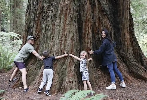 Jesus Calling podcast 475 featuring Dan and Sam Mathews - shown with family stretching their arms around a large tree trunk